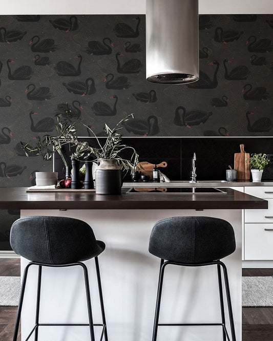 15 Sleek Black Countertops Kitchen Ideas That Impress