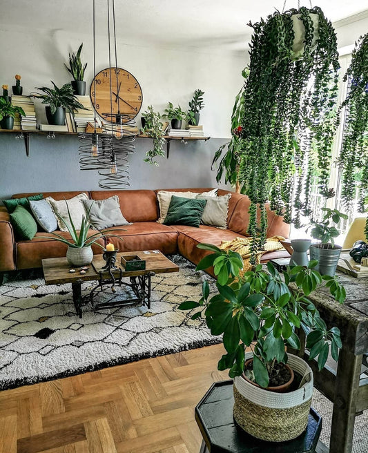15 Chic Plant Living Room Ideas for Small Spaces