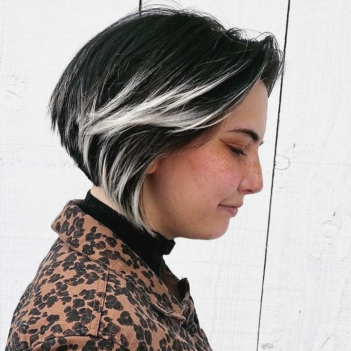 15 Sleek Black Hair with Highlights Styles