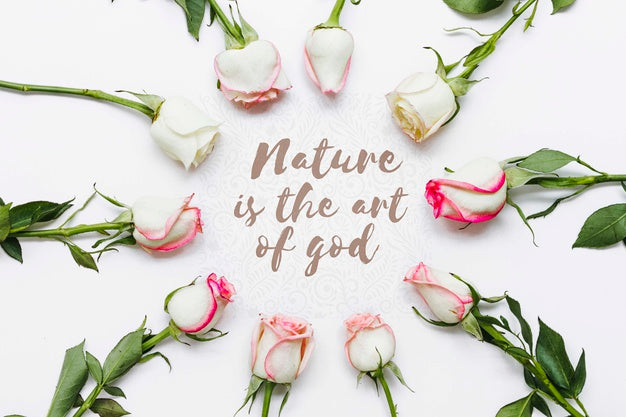 Free Assortment Of Beautiful Flowers Concept Psd