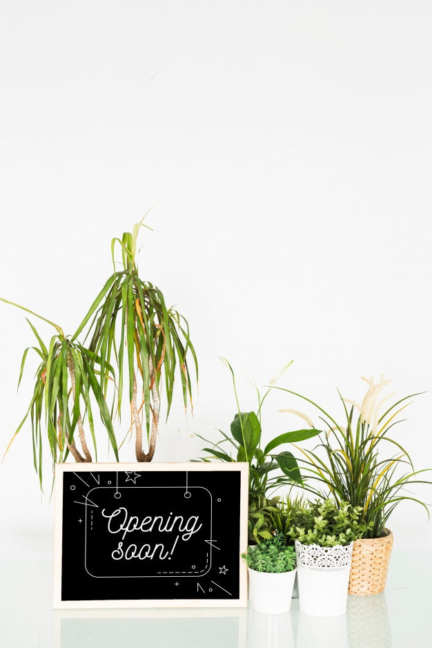 Free Chalkboard Mockup With Floral Decoration Psd