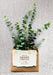 Free Christmas Holiday Greeting Design Mockup