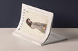 Free Cover Magazine Mockup Presentation
