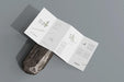 Free Dl Size Four Fold Brochure Mockup Psd