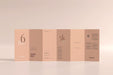 Free Dl Size Six Fold Brochure Mockup Psd