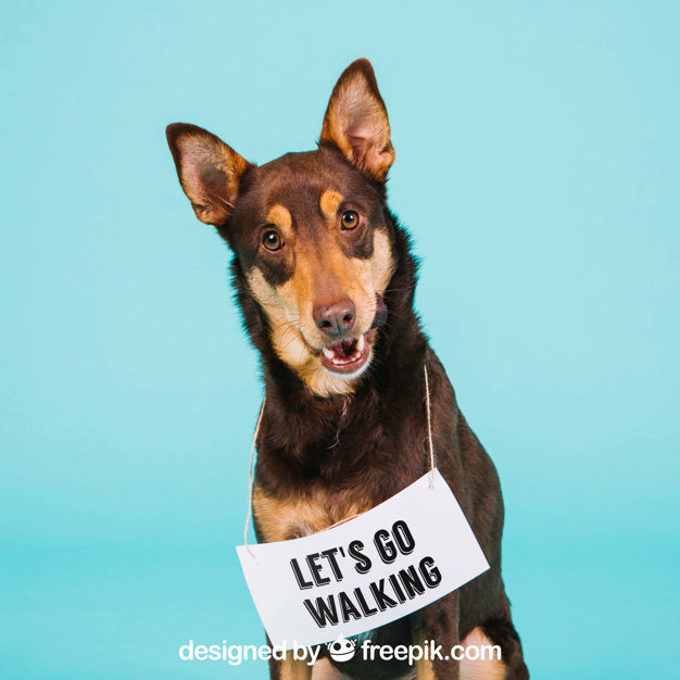 Free Dog Mockup With Signage Psd