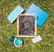 Free Flat Lay Back To School Arrangement On Grass Psd