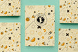 Free Flat Lay Books Arrangement Psd