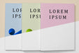 Free Flat Lay Colorful Books Mock-Up Psd