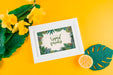 Free Flat Lay Frame Mockup For Summer Concepts Psd