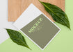 Free Flat Lay Stationery Leaves And Wood Psd