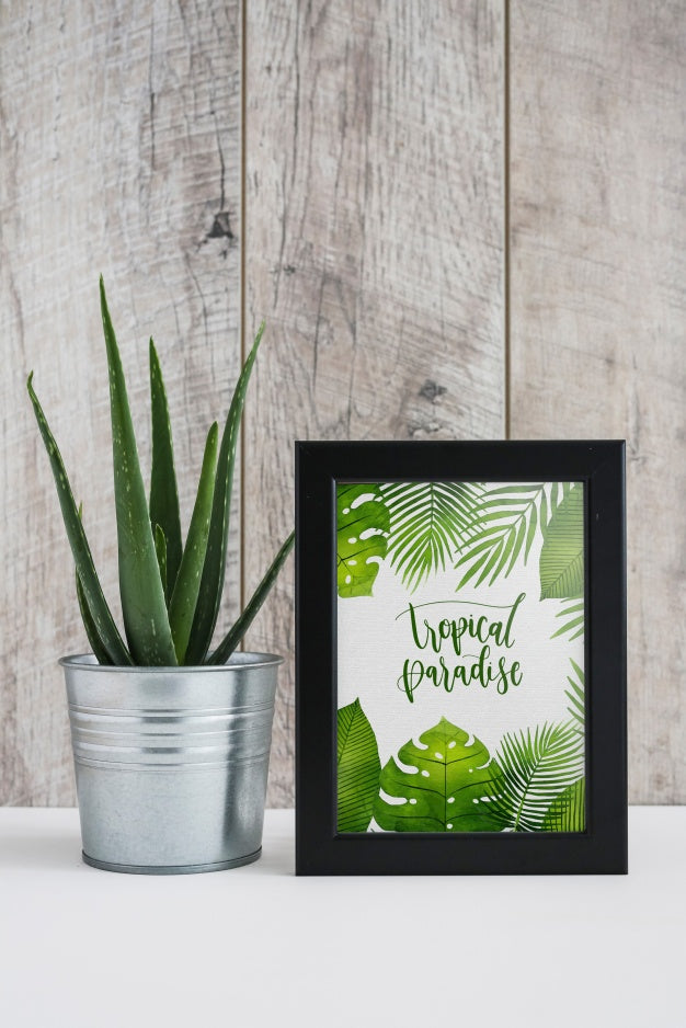 Free Frame Mockup Next To Plants Psd