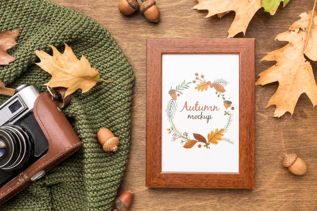 Free Frame With Camera Beside Psd