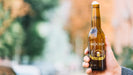 Free Front View Beer Bottle Held By Person Psd