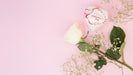 Free Heart Shaped Box Mockup For Valentine Psd