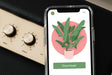 Free Iphone Xs Psd Mockup