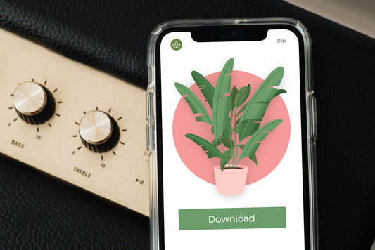 Free Iphone Xs Psd Mockup