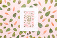 Free Leaves And Petals With White Frame Psd
