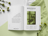 Free Magazine And Plant Assortment  Top View Psd