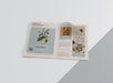 Free Newspaper Mock-Up Psd