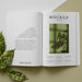 Free Open Magazine And Plant Assortment Psd