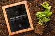 Free Top View Of Blackboard On Soil With Plant And Roots Psd