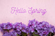 Free Top View Of Purple Phlox Flowers Psd