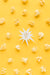 Free Top View Of Shape With Idea Light Bulb And Crinkled Paper Psd