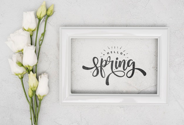 Free Top View Of White Spring Roses With Frame Psd